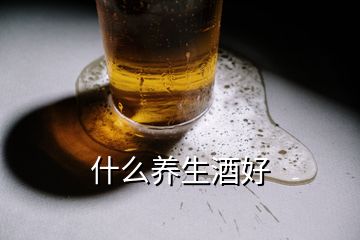 什么養(yǎng)生酒好