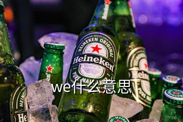 we什么意思