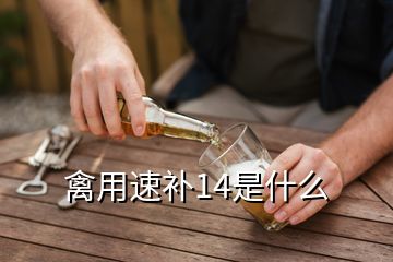 禽用速補14是什么