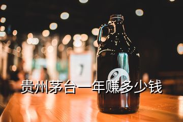 貴州茅臺一年賺多少錢