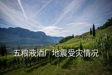 五糧液酒廠地震受災情況