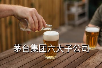 茅臺(tái)集團(tuán)六大子公司