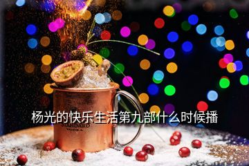 楊光的快樂生活第九部什么時(shí)候播