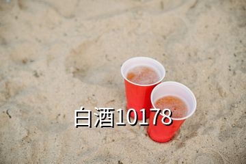 白酒10178