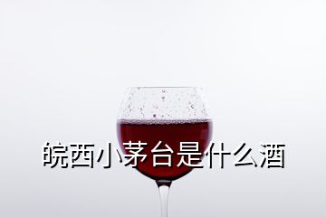 皖西小茅臺(tái)是什么酒