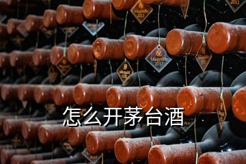 怎么開茅臺酒