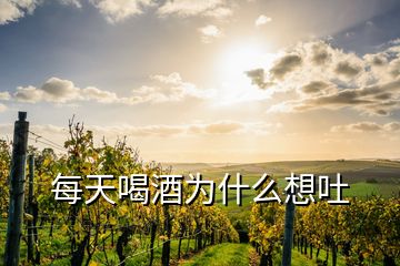 每天喝酒為什么想吐