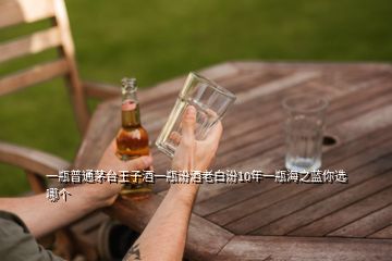 一瓶普通茅臺(tái)王子酒一瓶汾酒老白汾10年一瓶海之藍(lán)你選哪個(gè)