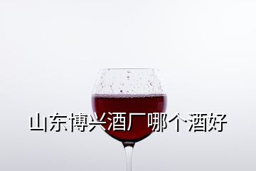 山東博興酒廠哪個(gè)酒好