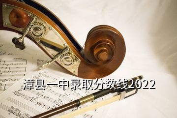 漳縣一中錄取分數(shù)線2022