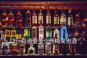 12斤白酒要多少楊梅來泡酒