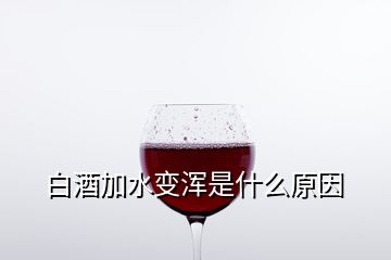 白酒加水變渾是什么原因