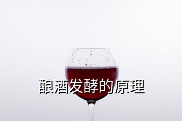 釀酒發(fā)酵的原理