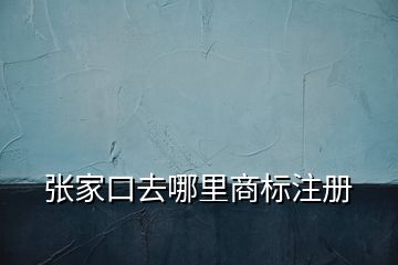 張家口去哪里商標(biāo)注冊