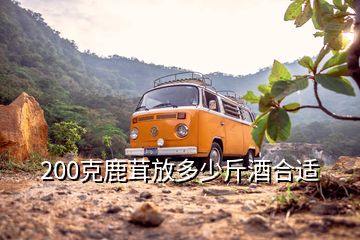 200克鹿茸放多少斤酒合適