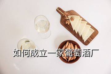 如何成立一家葡萄酒廠