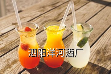 泗陽洋河酒廠