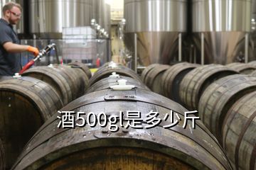 酒500gl是多少斤