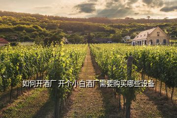 如何開酒廠 開個小白酒廠需要購買哪些設(shè)備