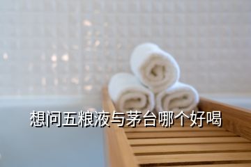 想問(wèn)五糧液與茅臺(tái)哪個(gè)好喝