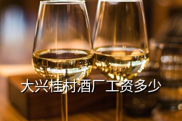 大興桂村酒廠工資多少