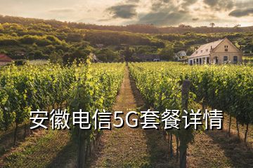 安徽電信5G套餐詳情