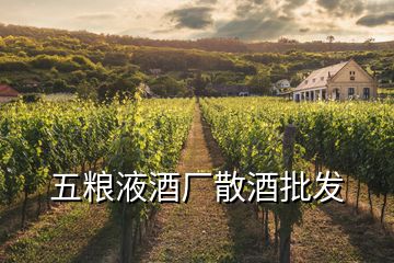 五糧液酒廠散酒批發(fā)