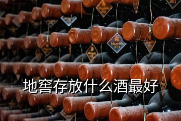 地窖存放什么酒最好