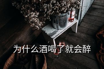 為什么酒喝了就會醉