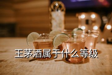 王茅酒屬于什么等級(jí)