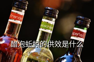 醋泡蚯蚓的供效是什么