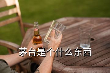 茅臺(tái)是個(gè)什么東西