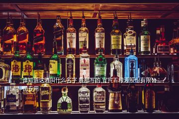 誰知道這酒叫什么名字 底部寫的 宜賓五糧液股份有限公司專用