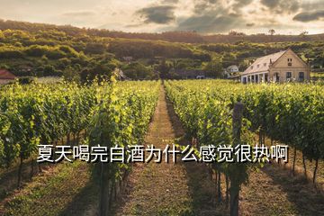 夏天喝完白酒為什么感覺很熱啊