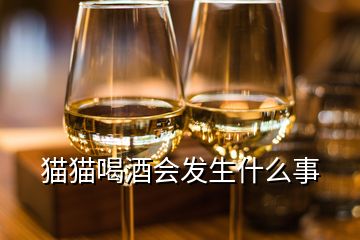 貓貓喝酒會發(fā)生什么事