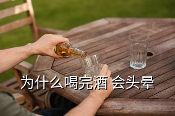 為什么喝完酒 會頭暈