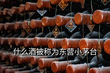 什么酒被稱為東營(yíng)小茅臺(tái)