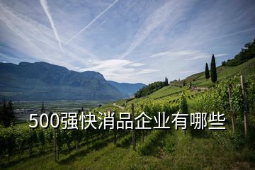 500強(qiáng)快消品企業(yè)有哪些