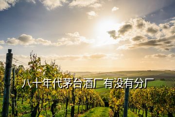 八十年代茅臺(tái)酒廠有沒(méi)有分廠