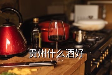 貴州什么酒好