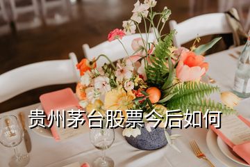 貴州茅臺股票今后如何