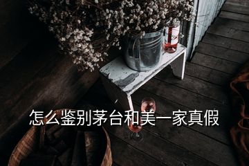 怎么鑒別茅臺(tái)和美一家真假