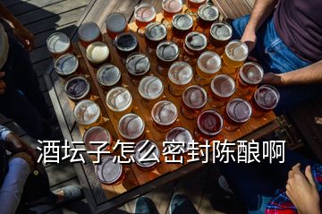 酒壇子怎么密封陳釀啊