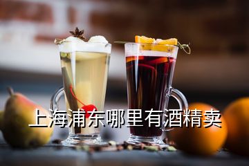 上海浦東哪里有酒精賣(mài)