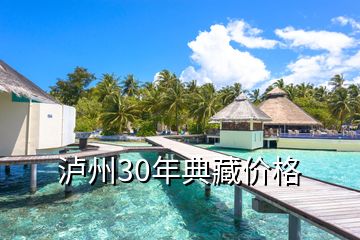 瀘州30年典藏價格