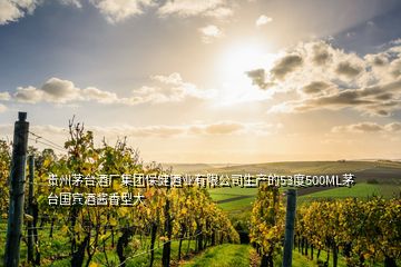 貴州茅臺酒廠集團(tuán)保健酒業(yè)有限公司生產(chǎn)的53度500ML茅臺國賓酒醬香型大