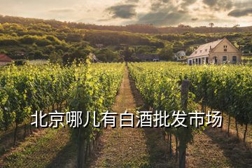 北京哪兒有白酒批發(fā)市場(chǎng)