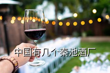 中國有幾個秦池酒廠