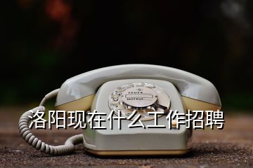 洛陽現(xiàn)在什么工作招聘