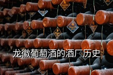 龍徽葡萄酒的酒廠歷史